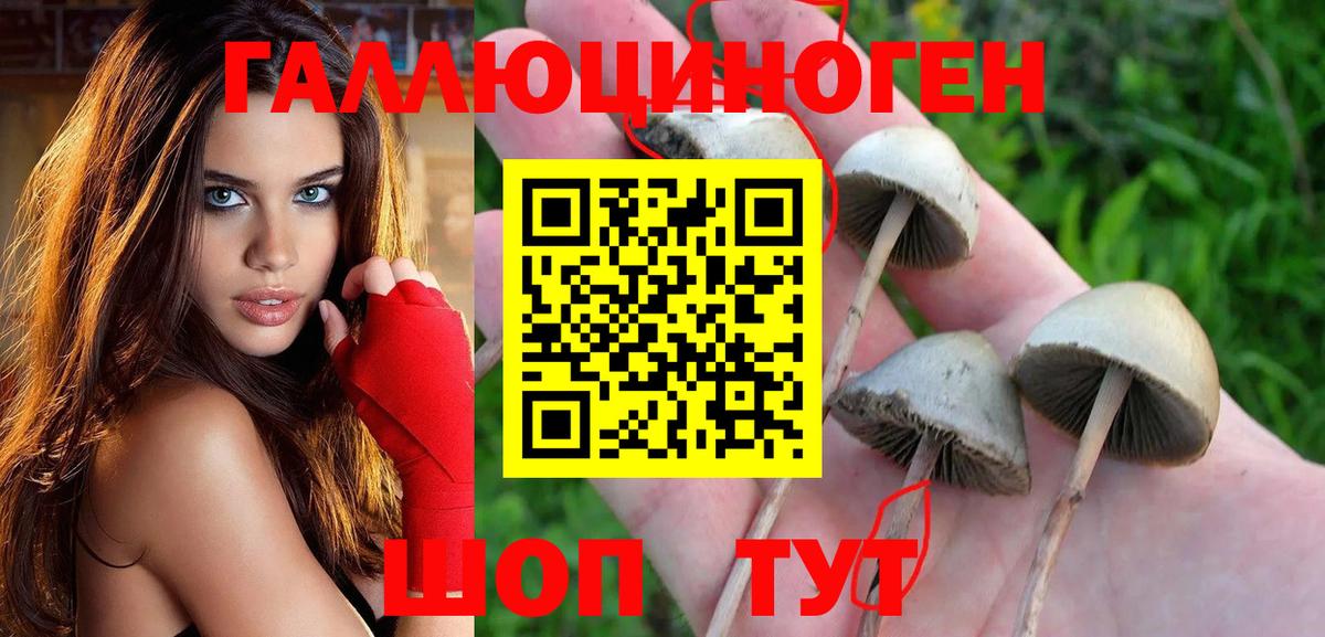 Орехово-Зуево  Галлюциногенные грибы ЛСД  Вход с VPN 